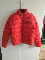 Nieuwe rode winterjas maat 146-152, Kinderen en Baby's, Kinderkleding | Maat 146, Nieuw, Ophalen of Verzenden, Hema, Jongen