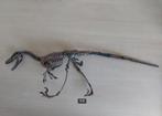 Replica dino skelet, Verzamelen, Mineralen en Fossielen, Ophalen of Verzenden, Fossiel