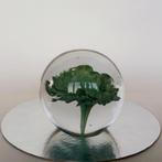 Presse-papier Paperweight Glasobject, Antiek en Kunst, Antiek | Glas en Kristal, Ophalen of Verzenden