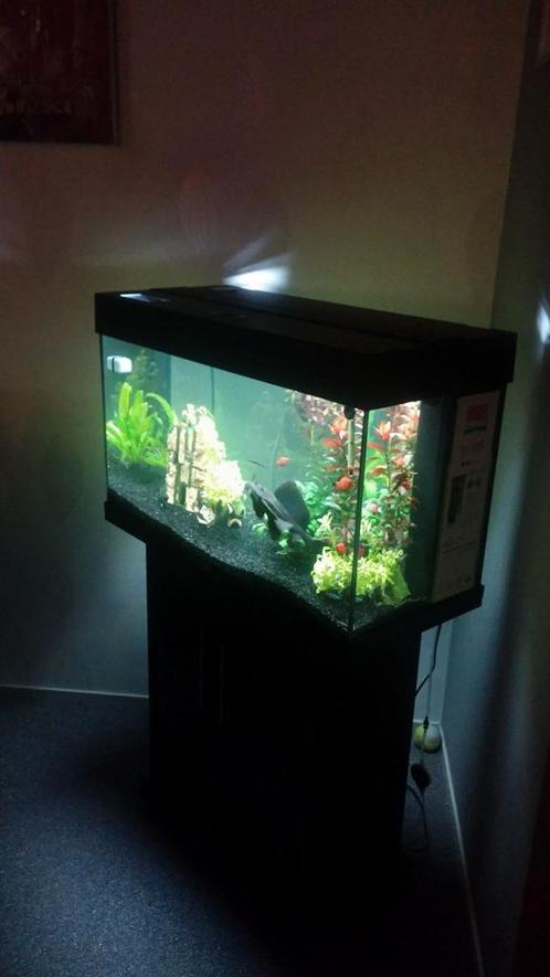 Juwel Rio 125 Aquarium - Led Verlichting - Compleet, Dieren en Toebehoren, Vissen | Aquaria en Toebehoren, Gebruikt, Gevuld zoetwateraquarium