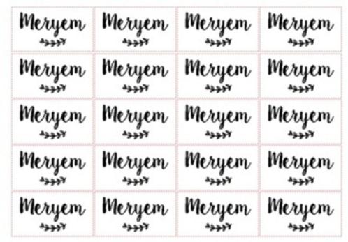 Traktatie bedankjes stickers vel naam met takjes, Hobby en Vrije tijd, Stickers en Plaatjes, Nieuw, Sticker, Ophalen of Verzenden