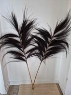 Decoratieve Grote Pluimen, Ophalen, Zo goed als nieuw