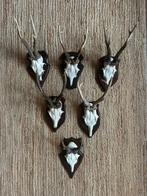 Set van 6 herten geweitjes, Ophalen