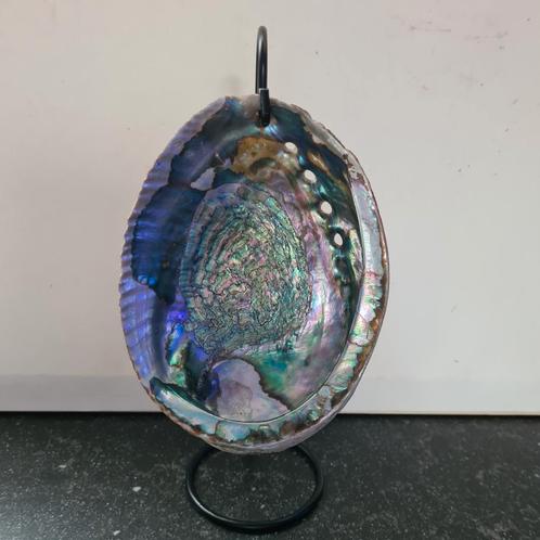 Mooie Abeloon schelp aan standaard klein of een grote, Verzamelen, Mineralen en Fossielen, Mineraal, Ophalen of Verzenden