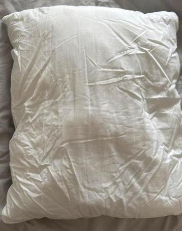 Pillow hema beschikbaar voor biedingen