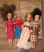 Fleur sindy barbie, Ophalen of Verzenden, Zo goed als nieuw, Barbie