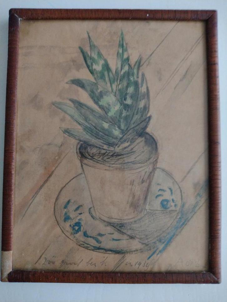 Schilderij van plant in pot, 1930, Antiek en Kunst, Kunst | Tekeningen en Foto's, Ophalen of Verzenden