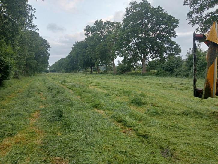 8 balen 1 snede kuil/ voordroogkuil/ vierkante balen, Dieren en Toebehoren, Dierenvoeding, Vee, Ophalen