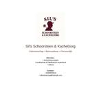 Gecertificeerde Schoorsteenveger, Schoorsteenvegen