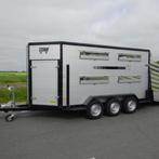 Gezocht van berne of titan 3asser, Dieren en Toebehoren, Geslacht onbekend, 3 tot 6 jaar