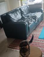 leren bank, groen, Huis en Inrichting, Ophalen, Gebruikt, 150 tot 200 cm, Tweepersoons