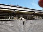 Tuin POESDICHT ? gegarandeerd, Ophalen of Verzenden, Nieuw