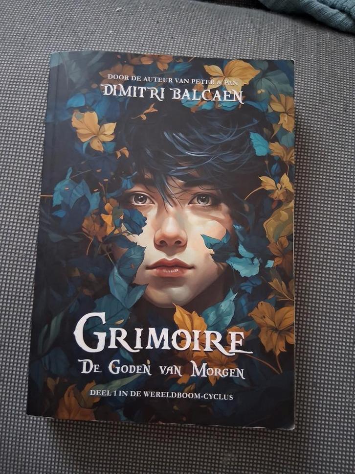 Dimitri Balcaen - De goden van morgen, Boeken, Fantasy, Zo goed als nieuw, Ophalen of Verzenden