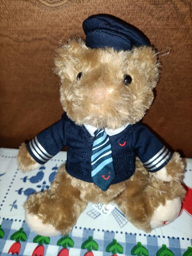 TUI piloot beer knuffel 21 cm groot, Ophalen of Verzenden, Zo goed als nieuw, Stoffen beer, Overige merken