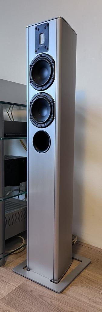 PIEGA TP5 vloerstaander speakers beschikbaar voor biedingen