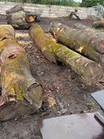 Stamhout, Tuin en Terras, Haardhout, 6 m³ of meer, Ophalen of Verzenden, Overige houtsoorten, Stammen
