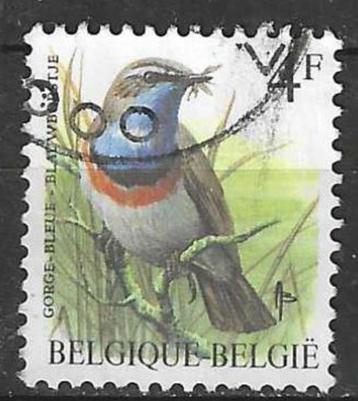 Belgie 1989 - Yvert/OBP 2321 - Buzin - Blauwborstje (ST) beschikbaar voor biedingen