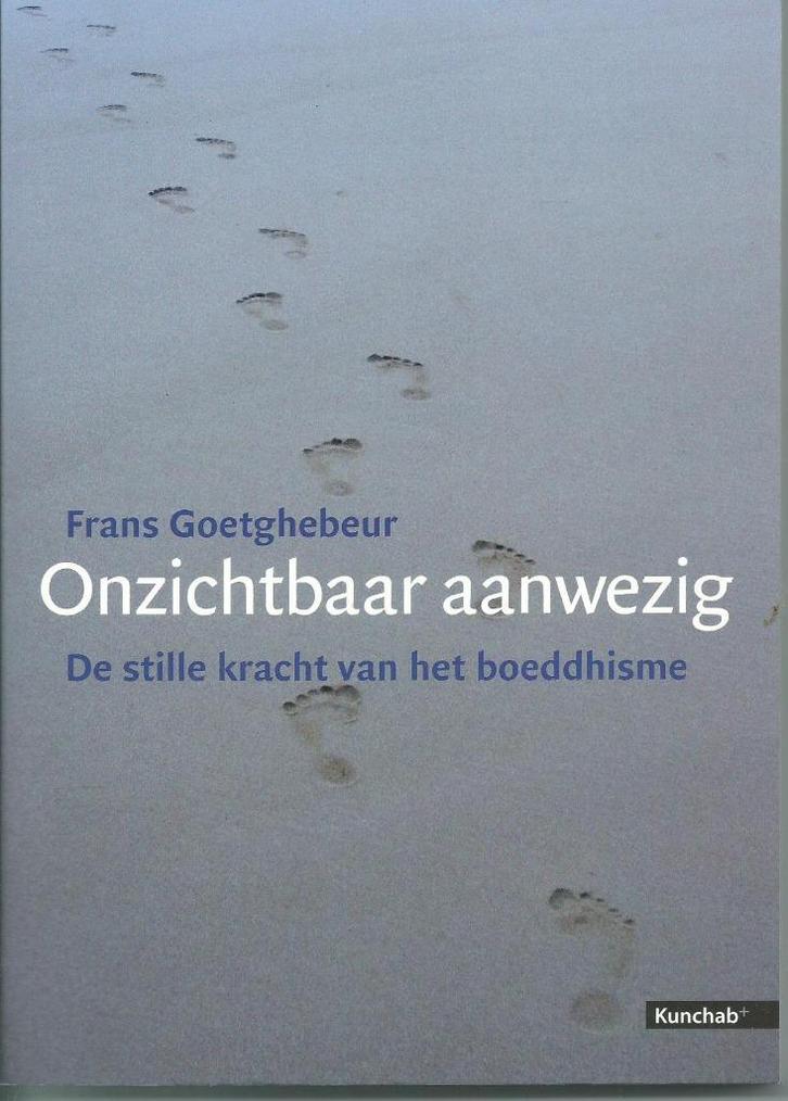 Onzichtbaar aanwezig - Goetghebeur, Boeken, Esoterie en Spiritualiteit, Zo goed als nieuw, Verzenden