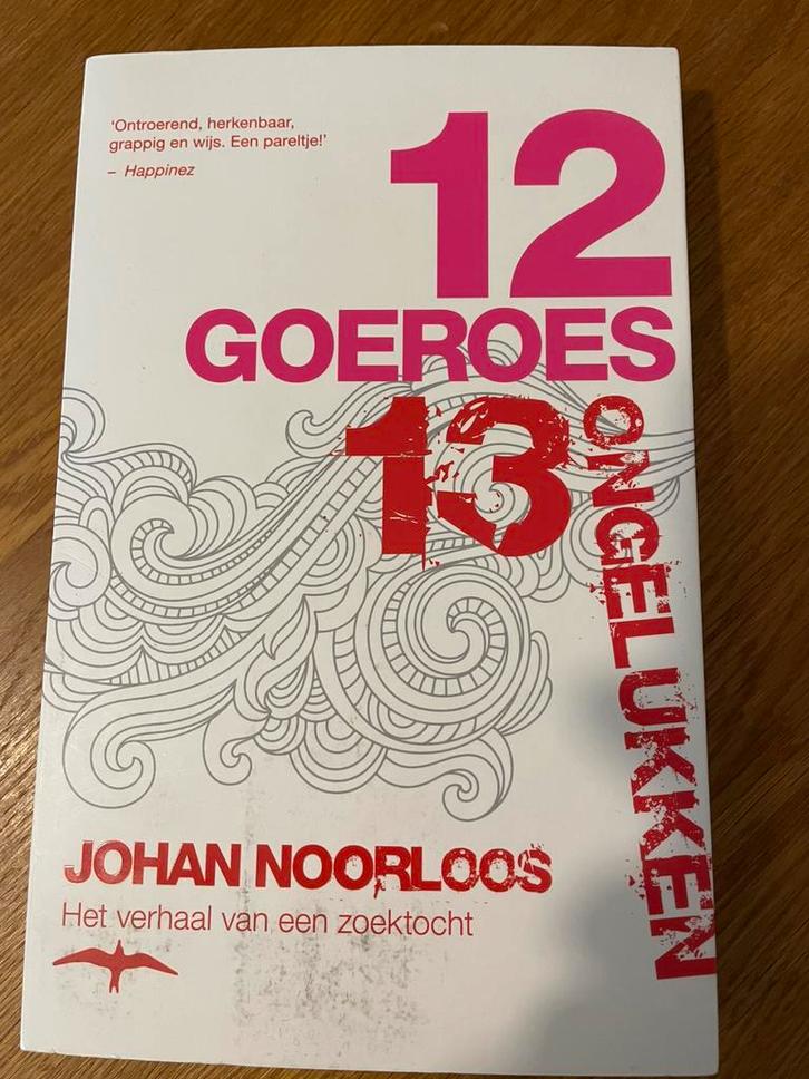 Johan Noorloos - Twaalf goeroes, dertien ongelukken, Boeken, Literatuur, Zo goed als nieuw, Ophalen of Verzenden