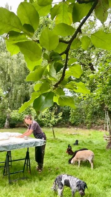 Workshop VACHTVILTEN cursus gevilte vacht maken  beschikbaar voor biedingen