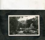 Ansicht Zoutelande - Weg naar Valkenisse, Verzamelen, Ansichtkaarten | Nederland, Verzenden, 1940 tot 1960, Gelopen, Zeeland