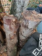 Berken haardhout. 2 grote stronken van plm 1 meter hoog, Tuin en Terras, Haardhout, Minder dan 3 m³, Ophalen