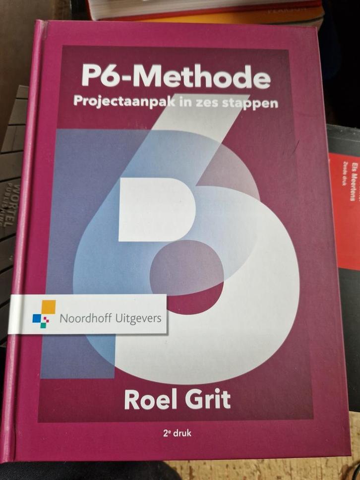 Roel Grit - Projectaanpak in zes stappen, Boeken, Wetenschap, Zo goed als nieuw, Ophalen of Verzenden