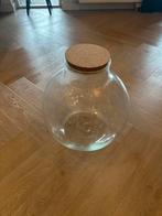 Planten terrarium, Overige kleuren, Ophalen of Verzenden, Minder dan 50 cm, Glas