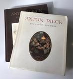 Anton Piek (soft of hard cover boek), Gelezen, Ophalen of Verzenden, Schilder- en Tekenkunst