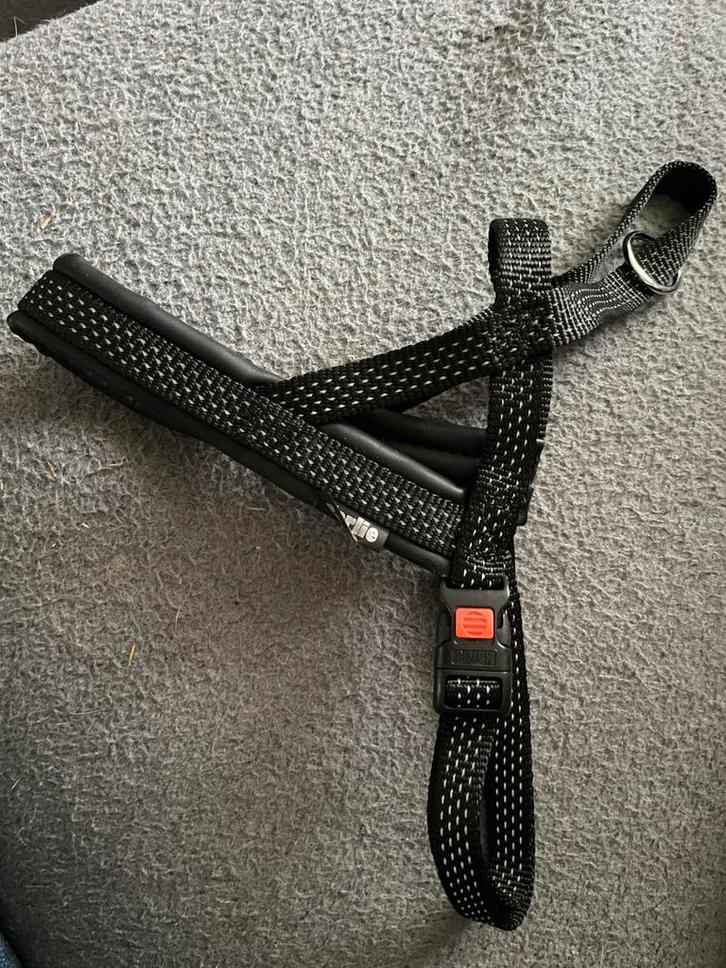 Diverse hondentuigjes en leader, Dieren en Toebehoren, Hondenhalsbanden en Penningen, Nieuw, Verzenden