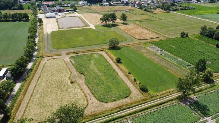 Western pensionstal, kudde, rust, ruimte om te trainen, Dieren en Toebehoren, Stalling en Weidegang, Stalling