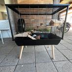 Hamster kooi, Dieren en Toebehoren, Overige Dieren-accessoires, Ophalen, Gebruikt