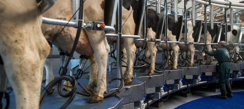 Melker aangeboden / melkadres gezocht, Vacatures, Vacatures | Landbouw, Natuur en Milieu, Vanaf 10 jaar, Overige vormen