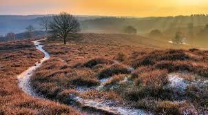 20% korting pp Dagkaart Park - Nat. Park de Hoge Veluwe, Tickets en Kaartjes, Recreatie | Overige, Drie personen of meer, Kortingskaart