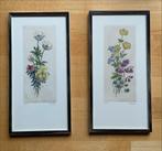2 handgekleurde etsen van bloemen door T. Tiele-Modderman, Antiek en Kunst, Ophalen of Verzenden