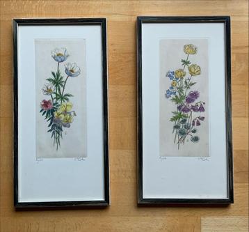 2 handgekleurde etsen van bloemen door T. Tiele-Modderman beschikbaar voor biedingen
