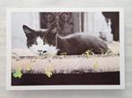 Zwartwitte poes in natuurstenen schaal, Ophalen of Verzenden, 1980 tot heden, Ongelopen, Hond of Kat