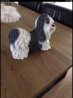 Mooi en degelijk honden Shihtzu beeld op ware grootte en gew, Verzamelen, Beelden en Beeldjes, Ophalen of Verzenden, Zo goed als nieuw