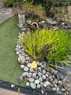 GRATIS Vijver Stenen & Keien - Tuin Decoratie, Tuin en Terras, Vijvers, Ophalen, Gebruikt