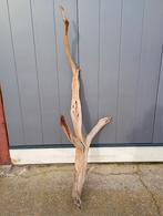 Mooie grote gedroogde takken (ghostwood), Ophalen, Zo goed als nieuw, Binnen