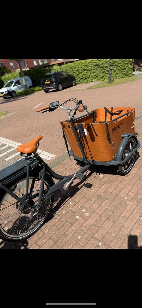 Elektrische Bakfiets, Fietsen en Brommers, Fietsen | Bakfietsen, Gebruikt, Overige merken, 4 kinderen of meer, Elektrisch, Ophalen of Verzenden