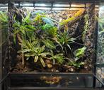 Exo terra 90x45x90, Ophalen, Zo goed als nieuw, Terrarium of Paludarium