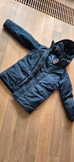Tommy Hilfiger, Blauw, Tommy Hilfiger, Ophalen of Verzenden, Gedragen
