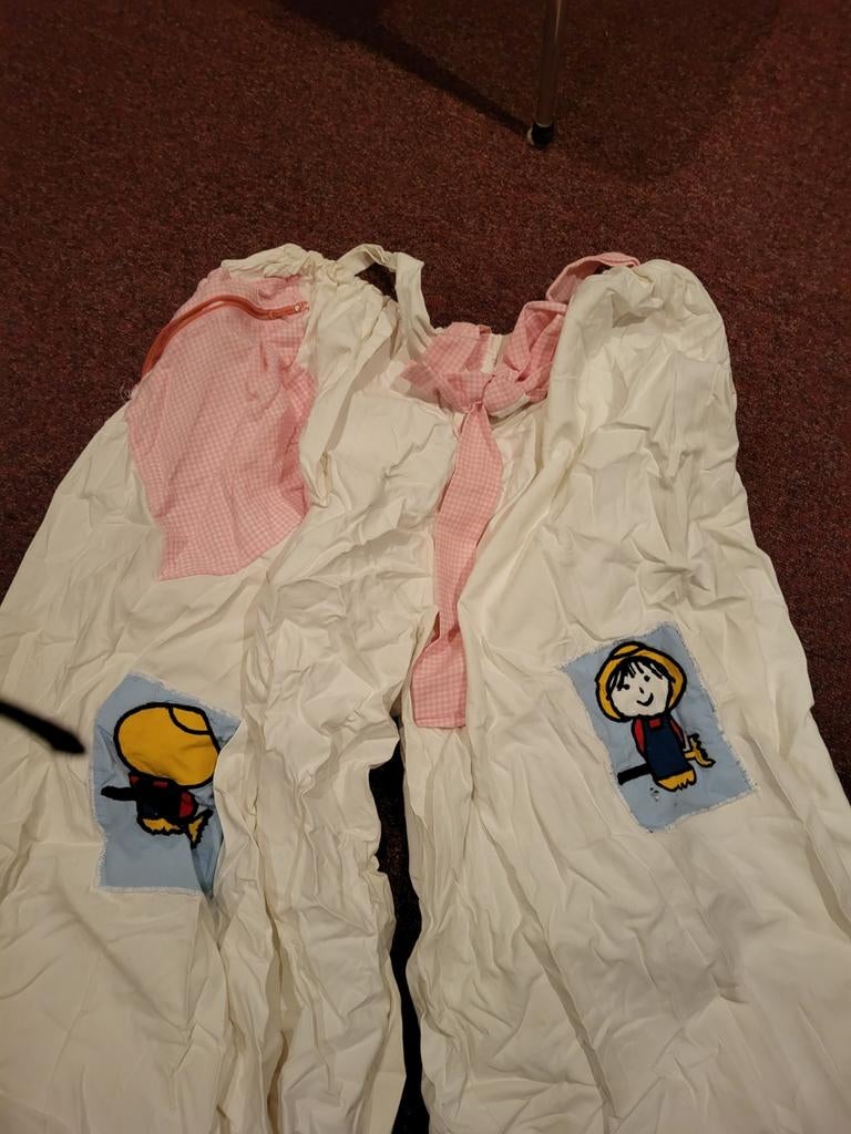 Dames carnavals kleding diverse, Ophalen of Verzenden, Gedragen, Maat 42/44 (L), Carnaval