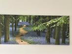 Canvas schilderij van bos met wilde hyachinten, Ophalen
