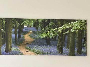 Canvas schilderij van bos met wilde hyachinten beschikbaar voor biedingen