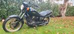 Yamaha virago xv1000 se midnight special, Motoren, Motoren | Yamaha, Cardan-aandrijving, 2 cilinders, Chopper, Particulier