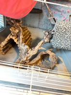 Chinchilla / fretten kooi, Ophalen, Kooi, 110 cm of meer, 90 cm of meer