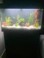 Aquarium Juwel Rio 125 liter, Dieren en Toebehoren, Vissen | Aquaria en Toebehoren, Ophalen, Zo goed als nieuw