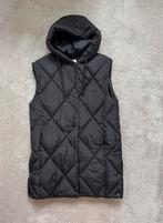 Zwarte bodywarmer maat S valt groot goed voor 38/40, Ophalen of Verzenden, Zo goed als nieuw, Maat 38/40 (M), Zwart